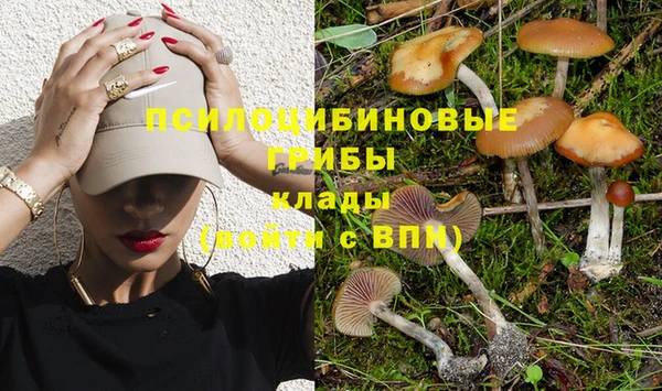 мяу мяу мука Алексин