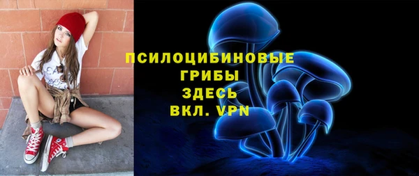 мяу мяу мука Алексин
